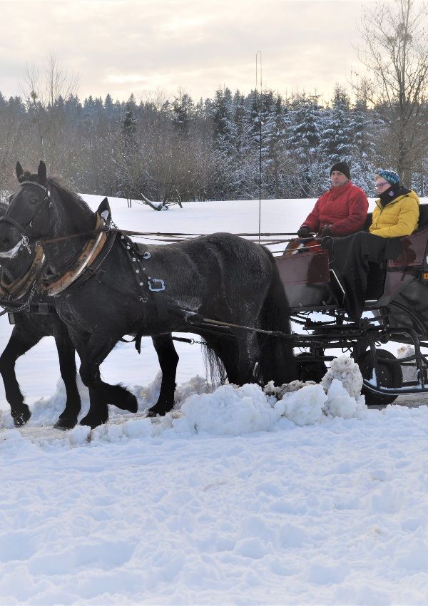 Kutschenfahrten 