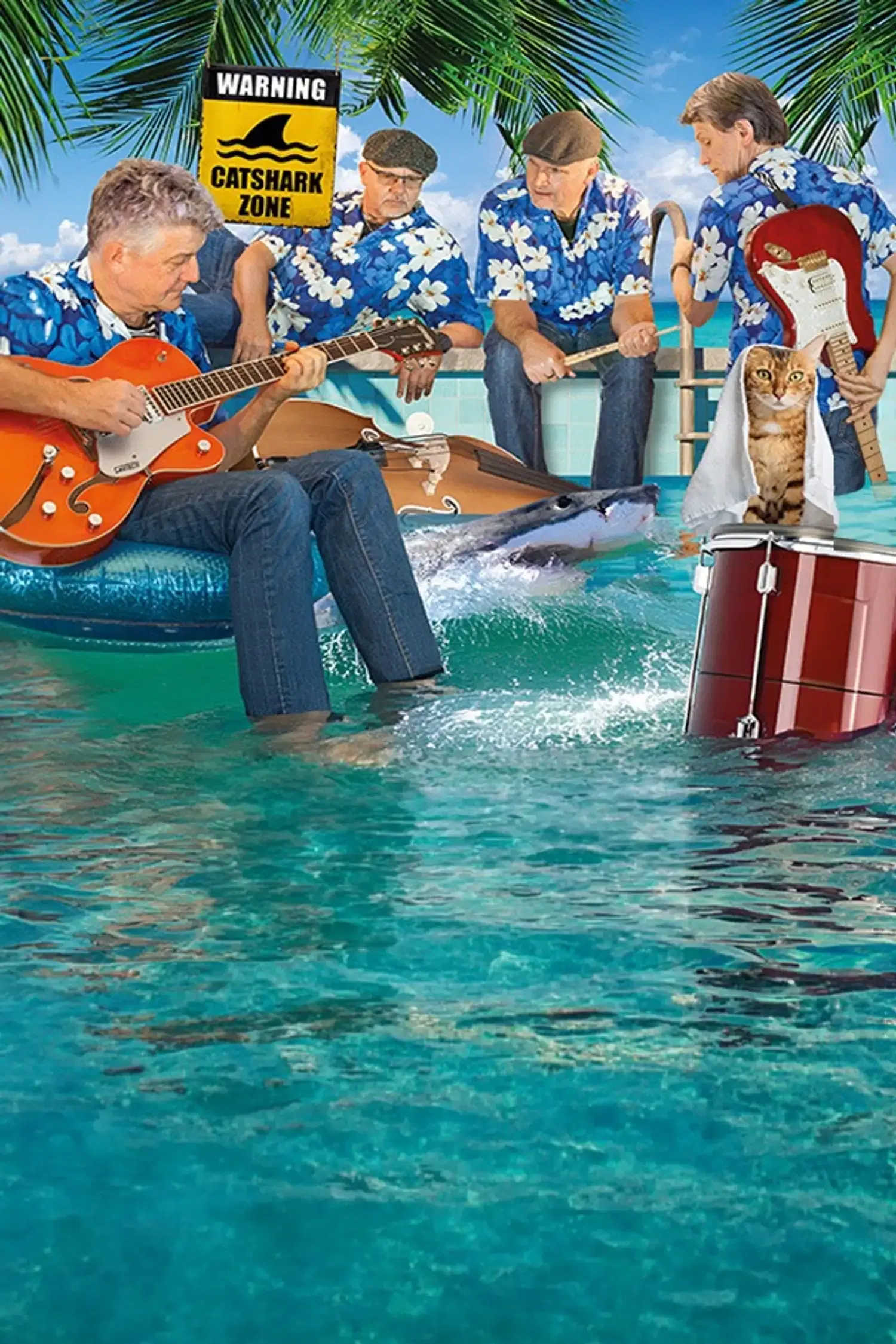 The Rockin´Catsharks
im Heidsgärtla