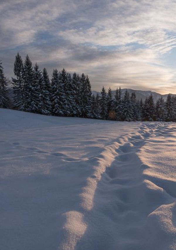 Geführte Schneeschuhwanderung