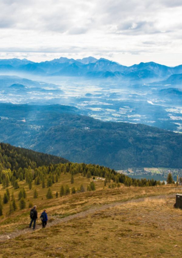 "Genuss Wanderung Herbstwald" mit Sebastijan *