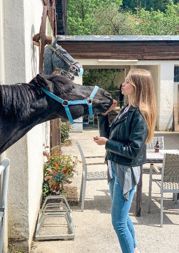 Wienerwald Reiterlebnis mit Nächtigung