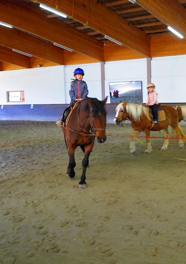 Reiten in der Reithalle