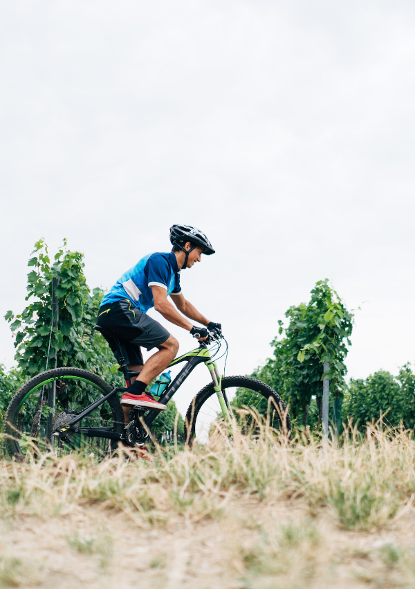 Retzer Land erkunden. Auf zwei Rädern mit unserem E-Bike Verleih