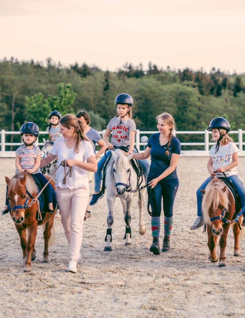 Reiters Pferde-Erlebnis-Tag