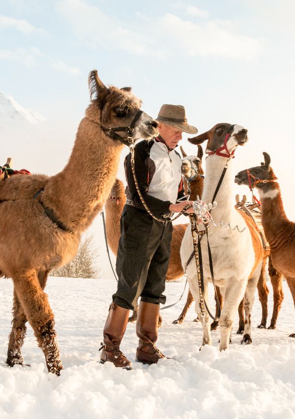 Winterwanderung Innerberg mit den Lamas