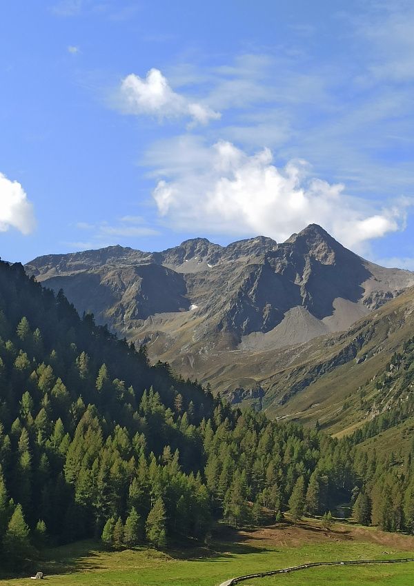 Meine Wanderempfehlung : Hochalmen Wanderweg Längenfeld/Huben
