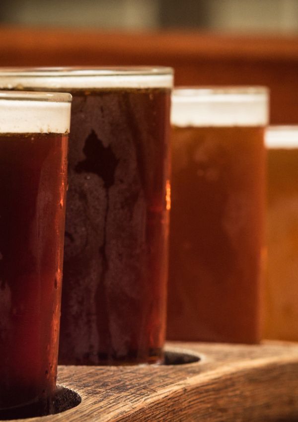 WildeGams - Brauereibesuch