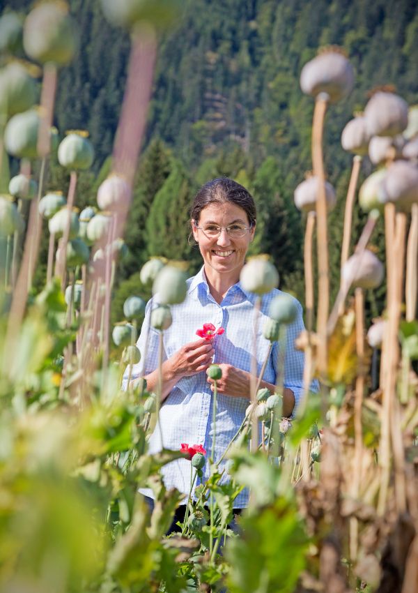 SFT Erlebnis -Medizin, die aus der Küche kommt