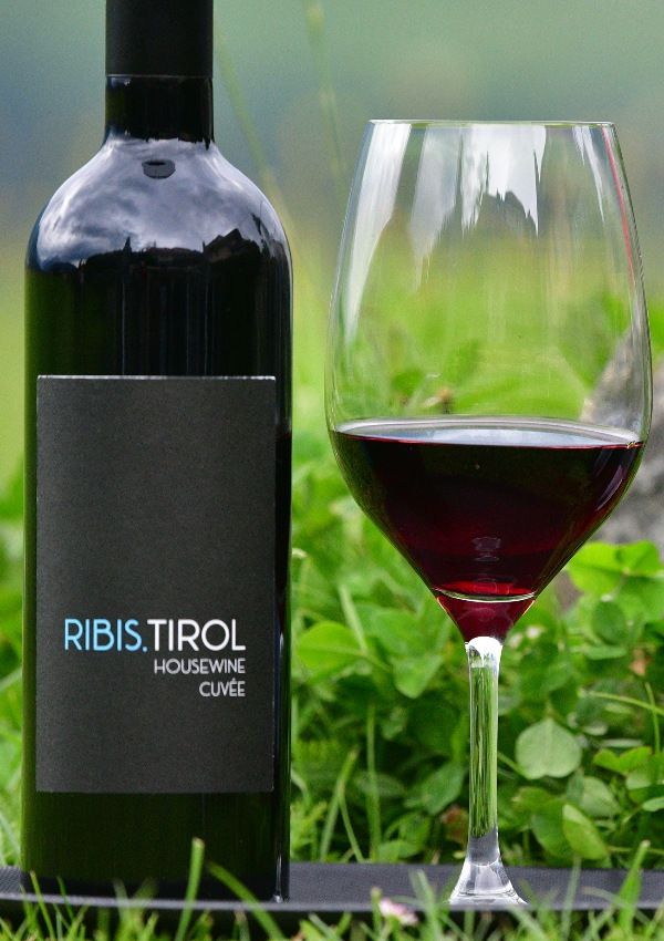 Weinverkostung: Rot, Rosé oder Weiß