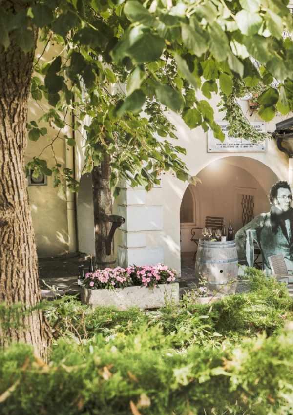 Wienerwald Wandererlebnis