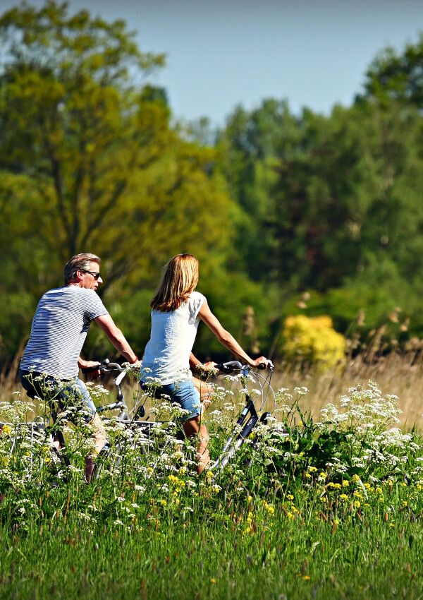 Wienerwald Rad/Mountainbike - Erlebnis