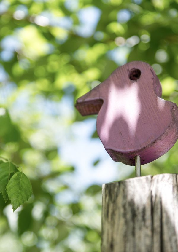 Pilates im yoga.raum