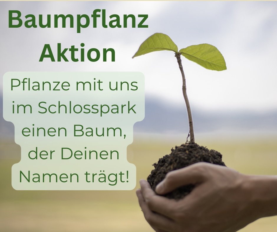 Ein Baum der Deinen Namen trägt: Hinterlassen Sie Ihren grünen Fußabdruck