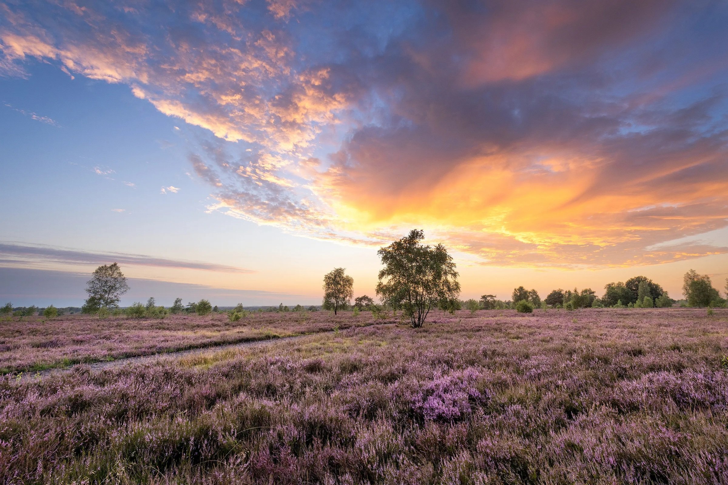 Foto-Spots in der Ueckermünder Heide entdecken