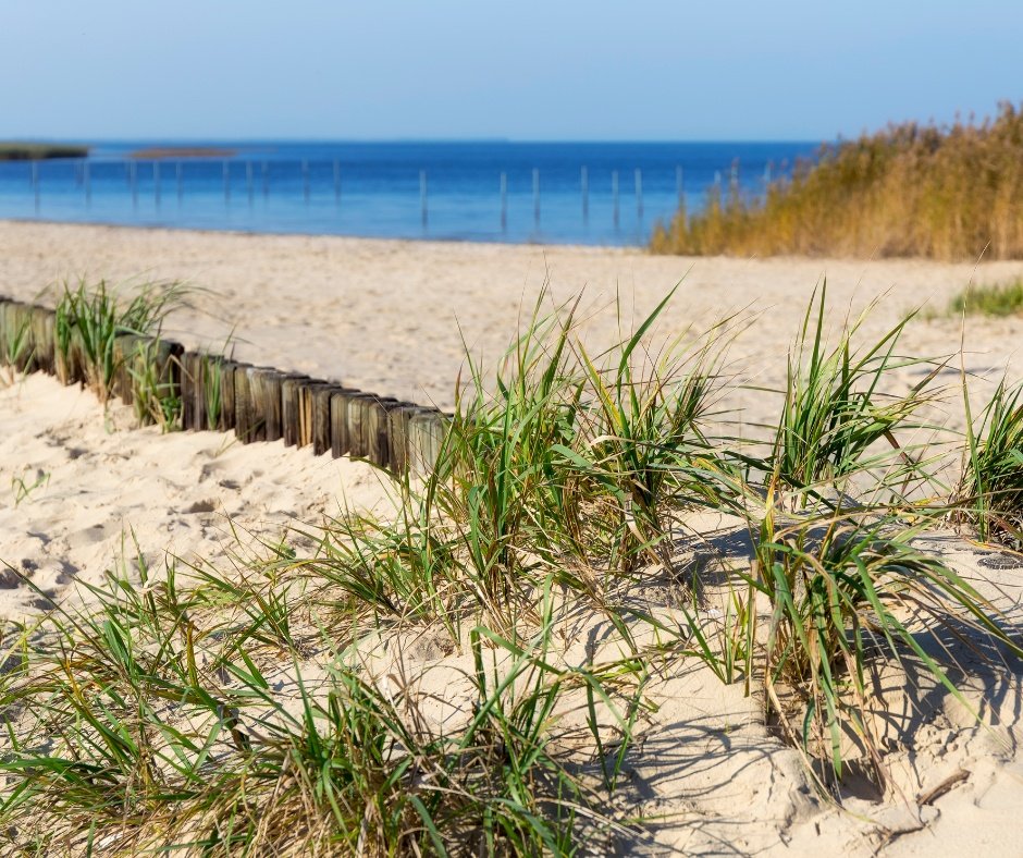 Badeausflug zum Stettiner Haff