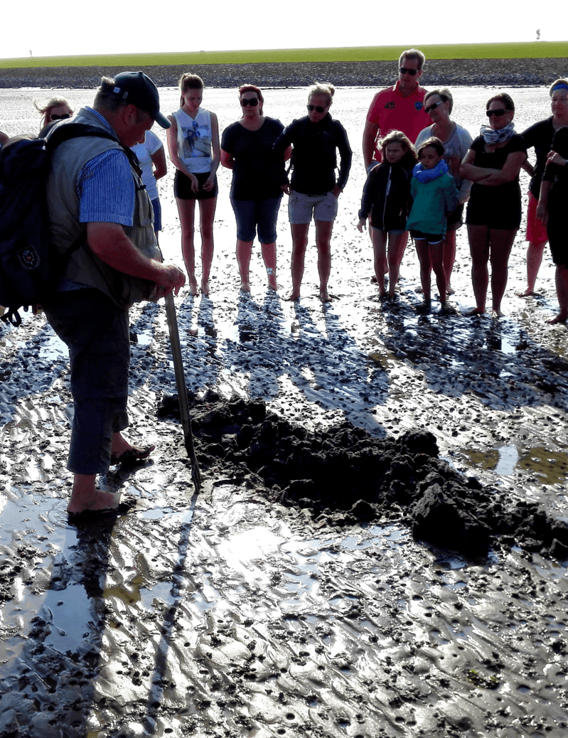 Mudflat hike 
