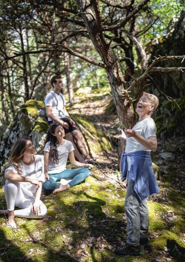 Forest bathing - the power of nature