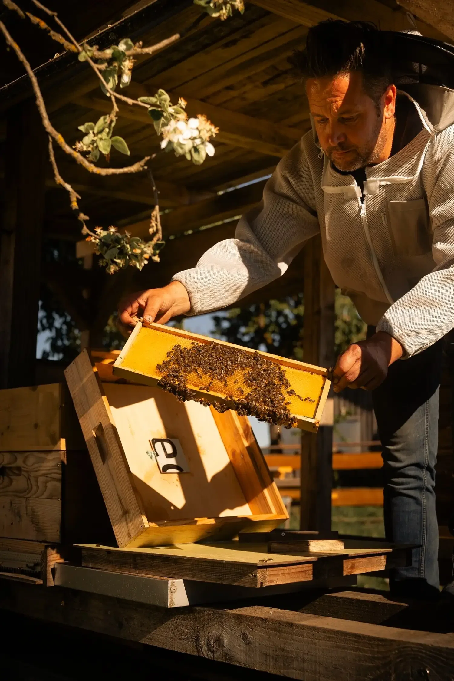  "Bienen & Honig" - Unser Feuerberg Imkermeister Hannes bietet honigsüße Einblicke in die Welt der Bienen... 