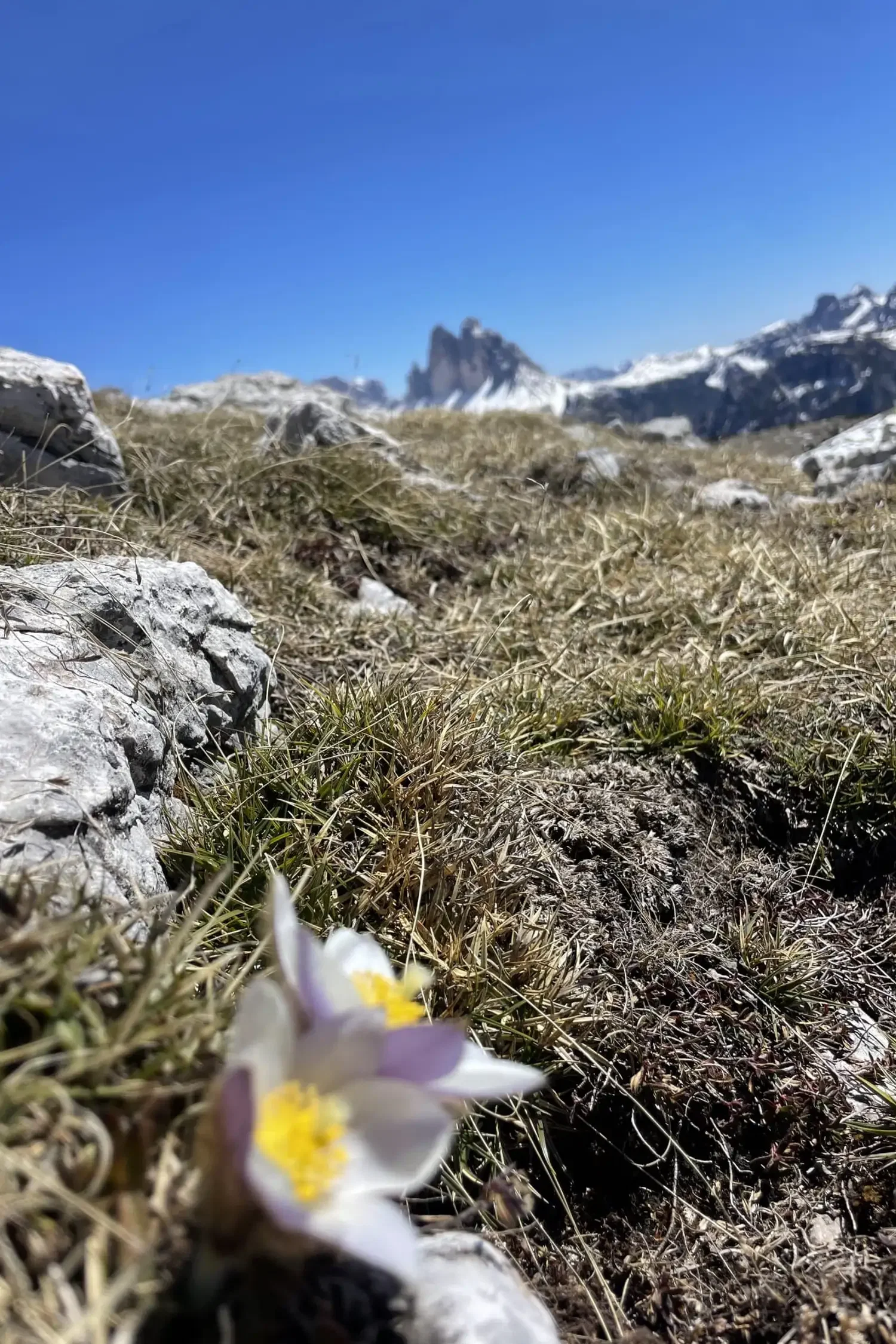 Wanderung | Drei Zinnen Blick*