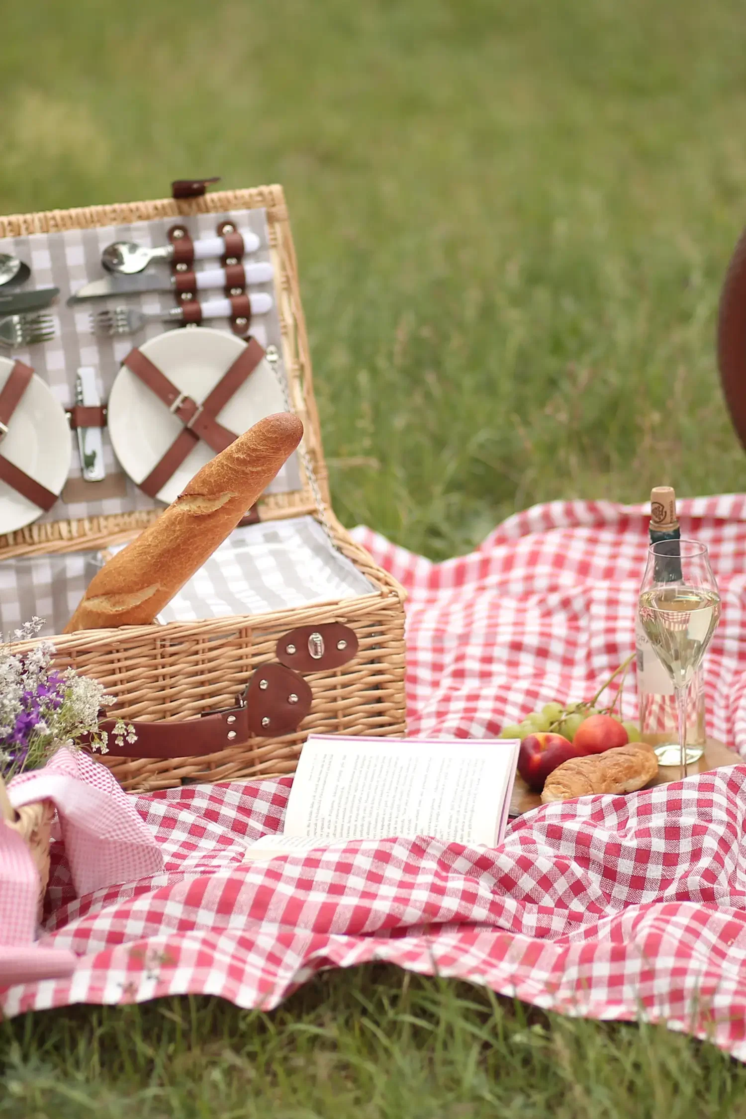 Picnic
with a view of the Alps and Lake Constance