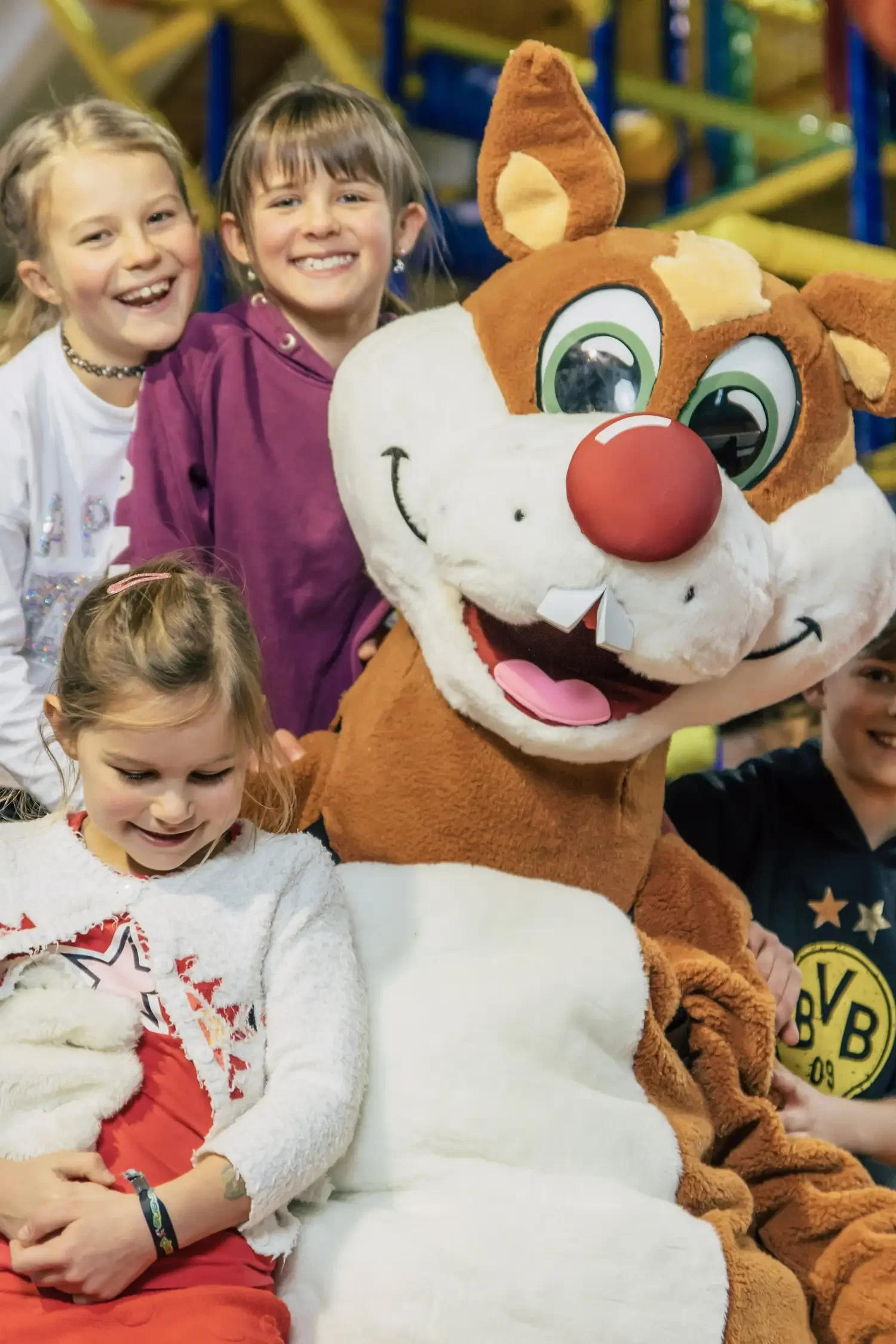 PLAYARENA Programm-Check