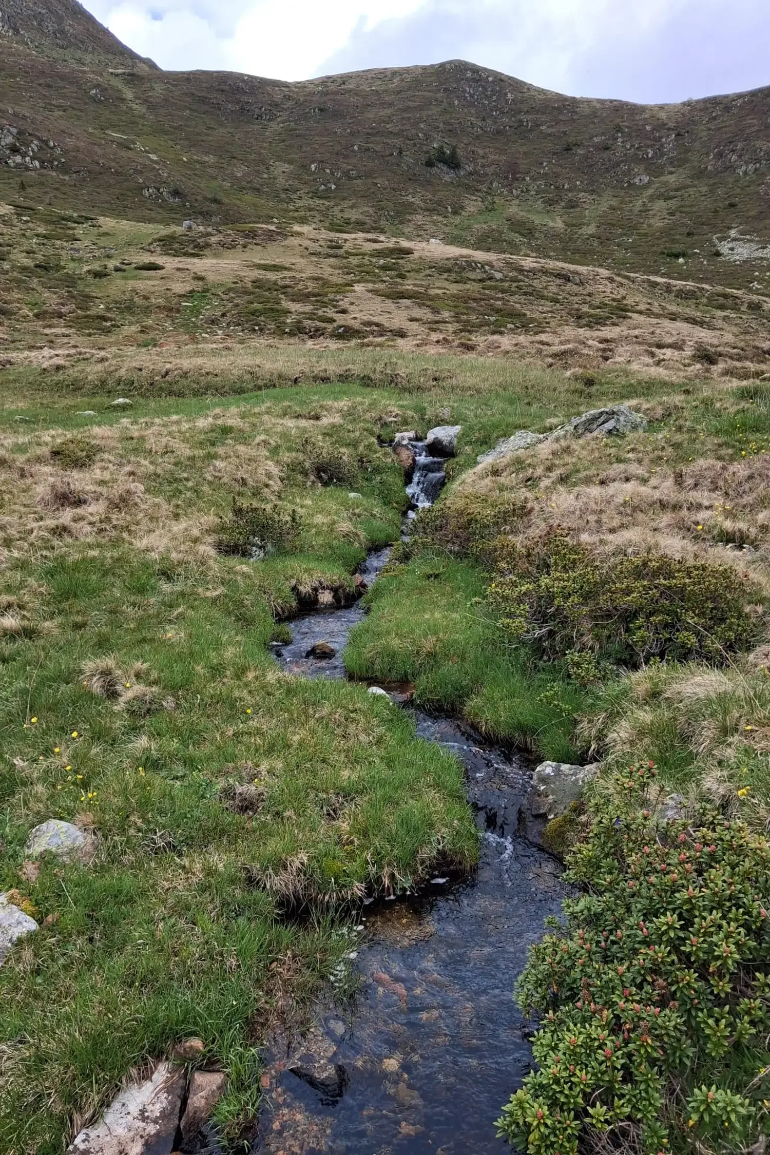 Wanderung | Kaltwassertal*