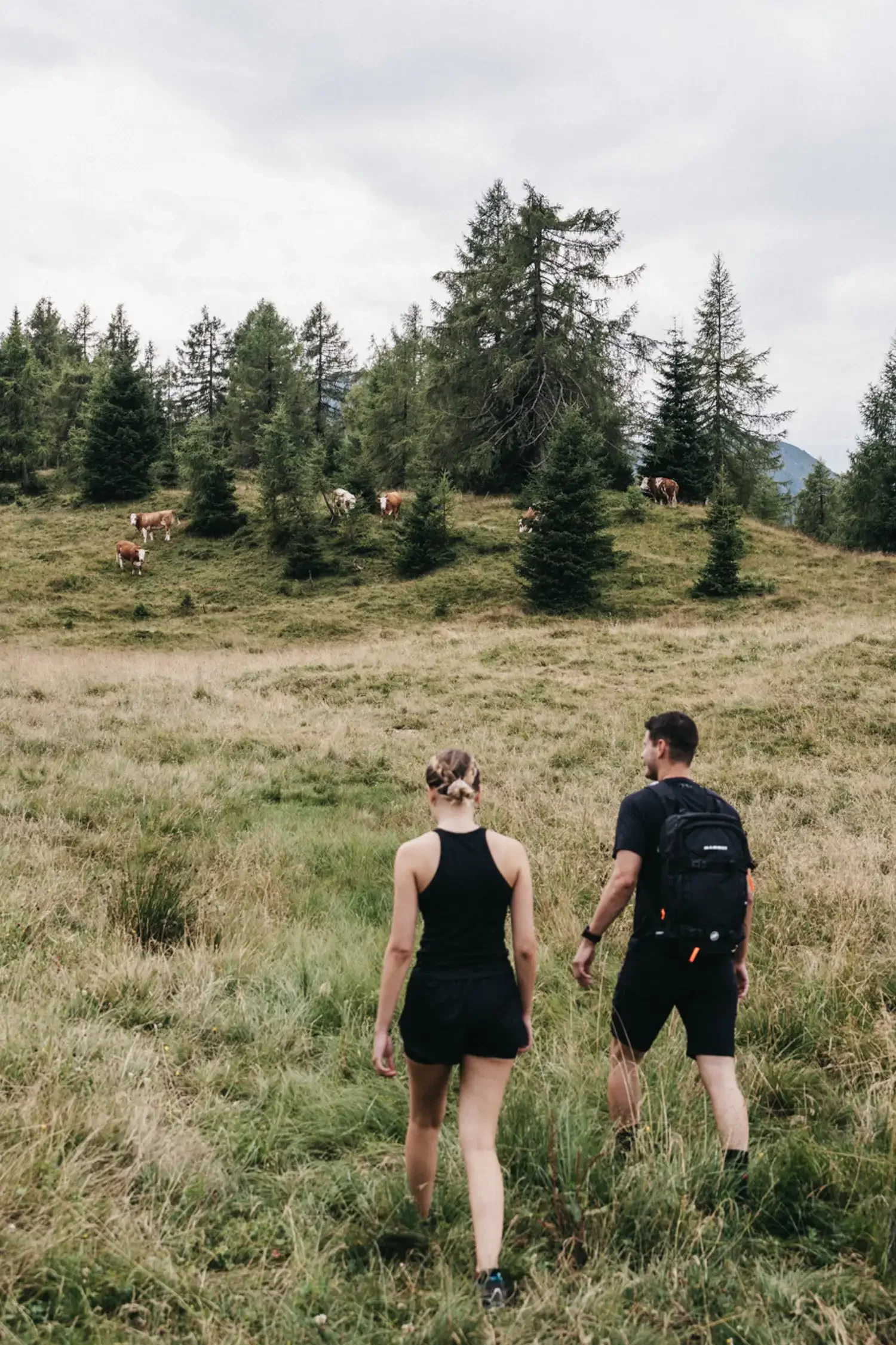 Hiking bus Herbie | Panoramic hike - Dientnersattel to the Arthurhaus