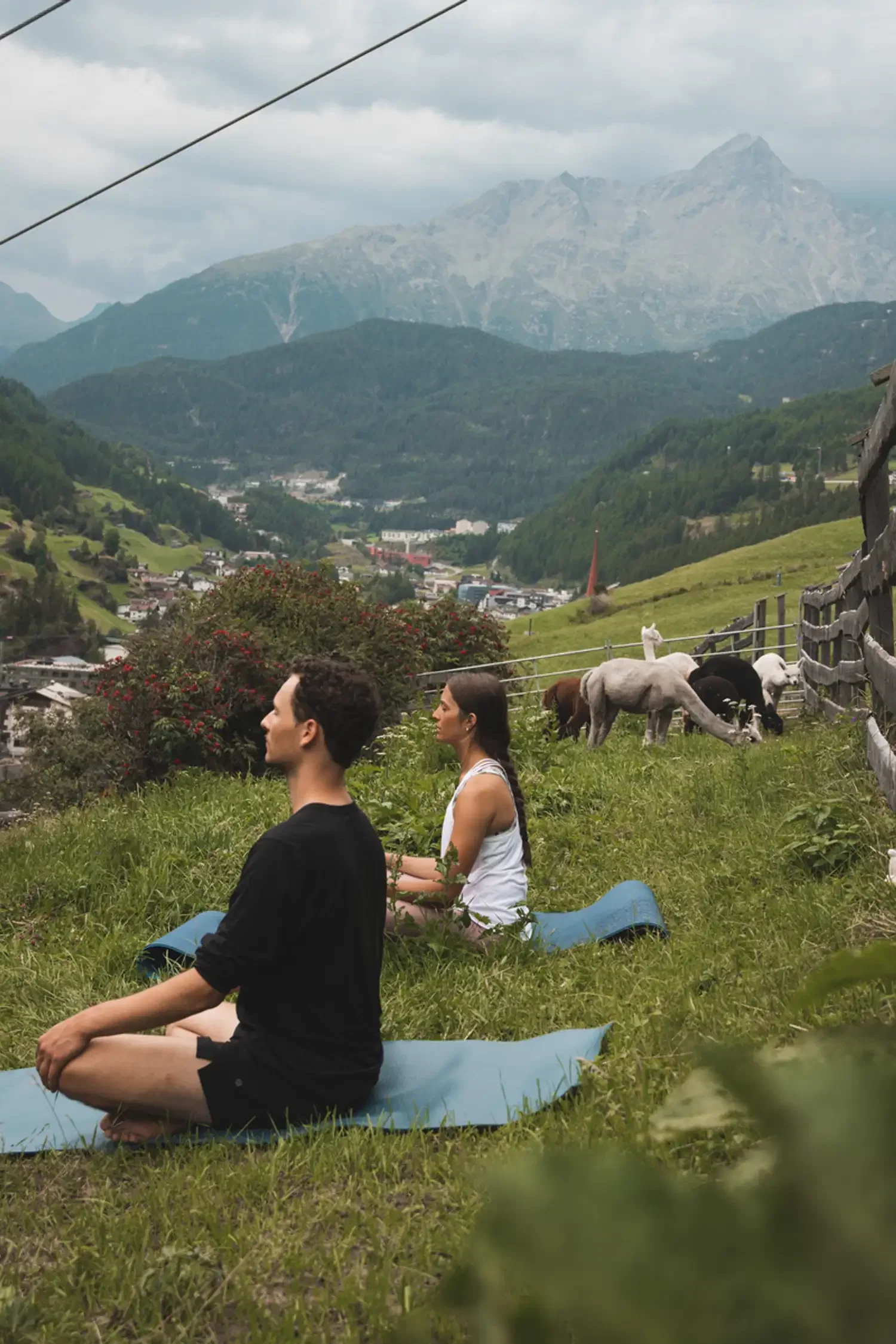 Alpaca yoga with the Brandlehof in Sölden