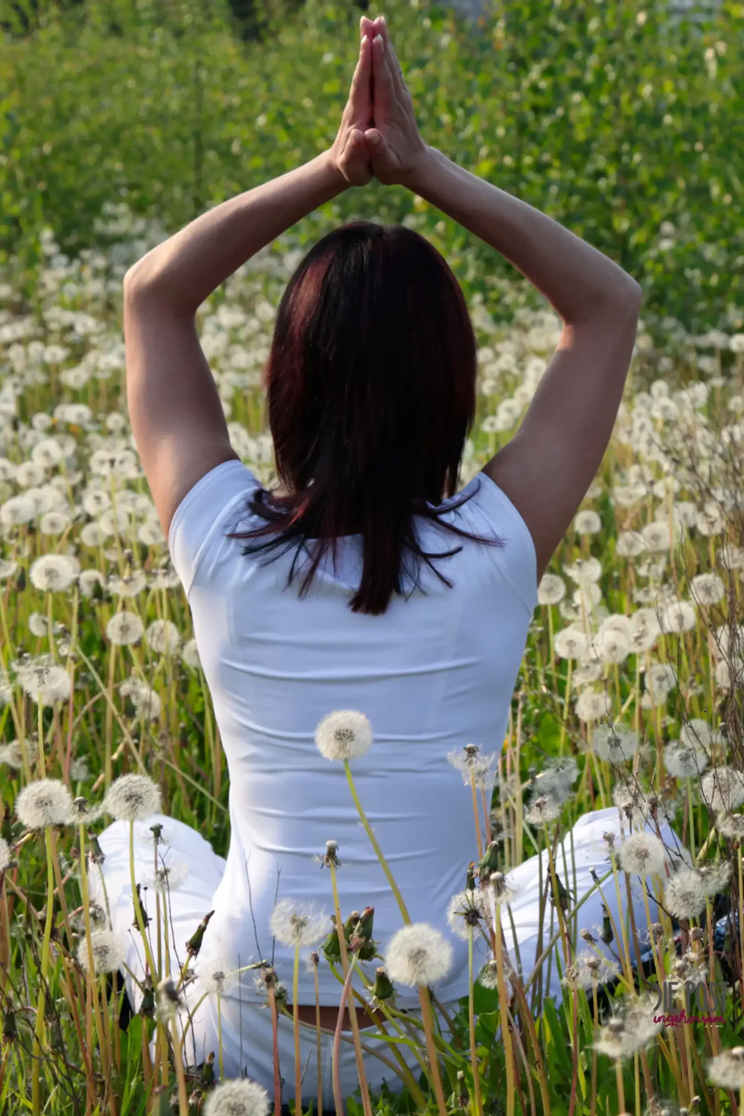 Private Yogastunden & Ayurvedabehandlungen