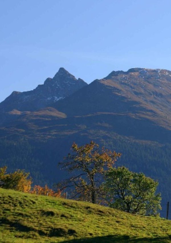 Wanderung über die Hörgeralm zum Plattinger ( 2.017m)