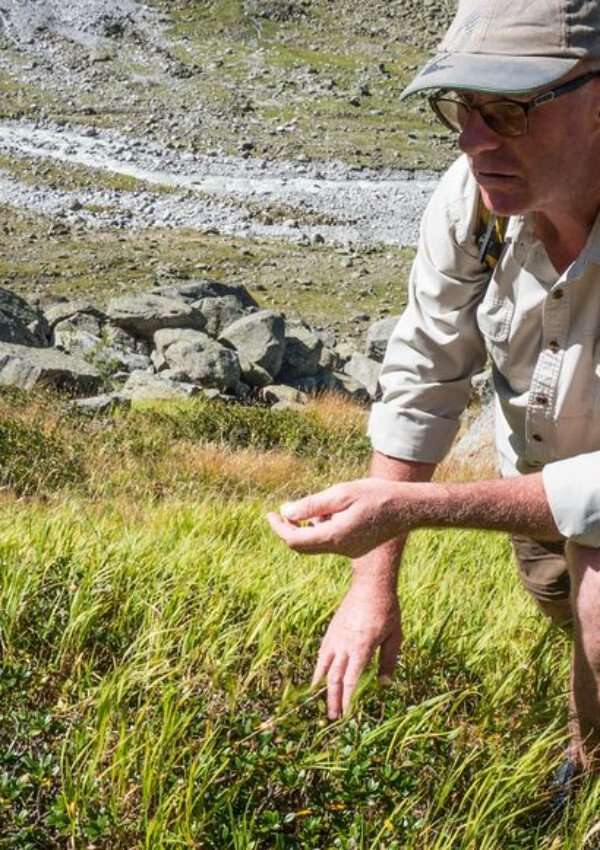 Mit Ihrem privaten Ranger auf Erkundungstour