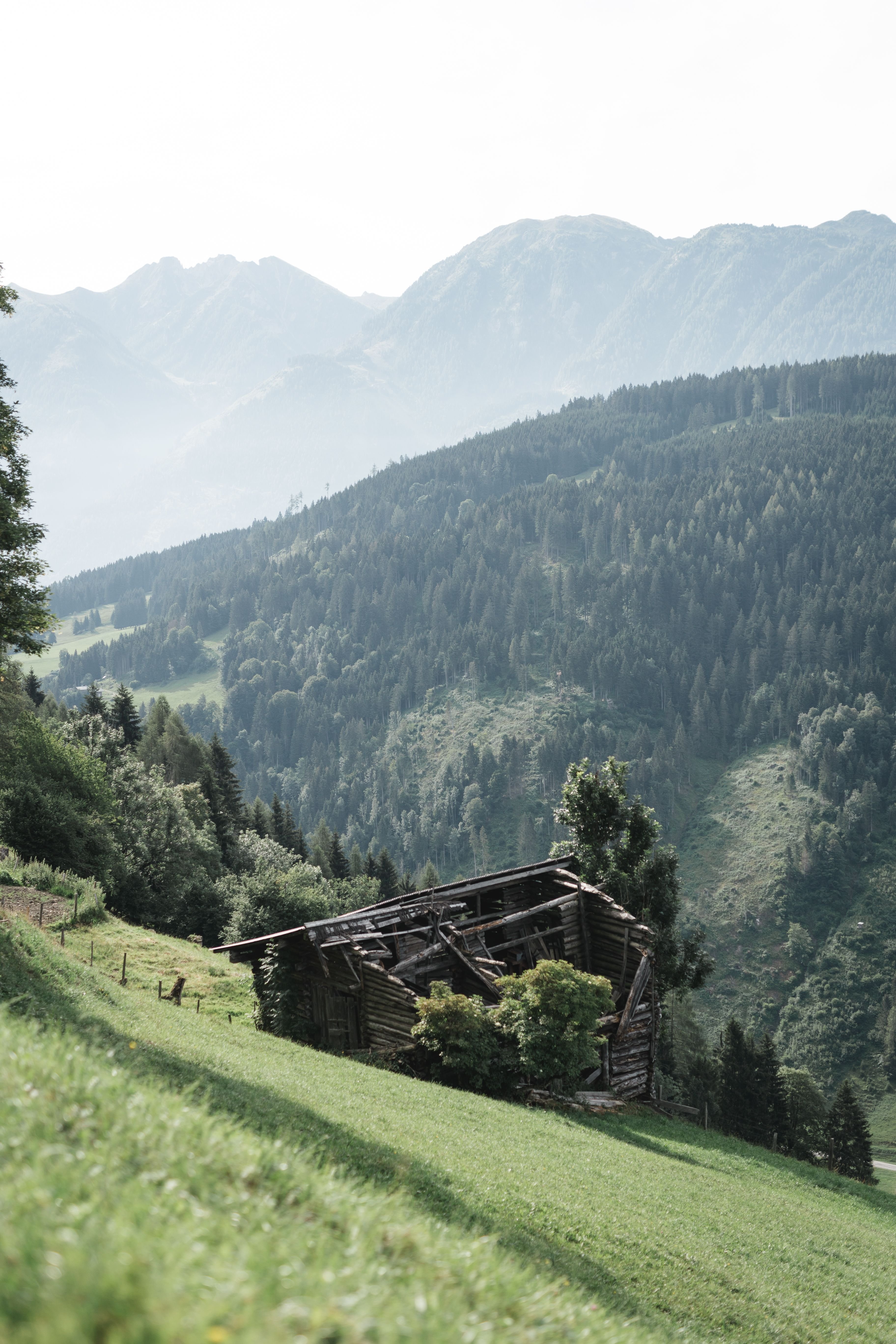 Hiking tours 
