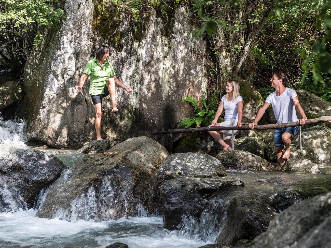 Herbs and
Kneipp hike at the
Rablander pond
