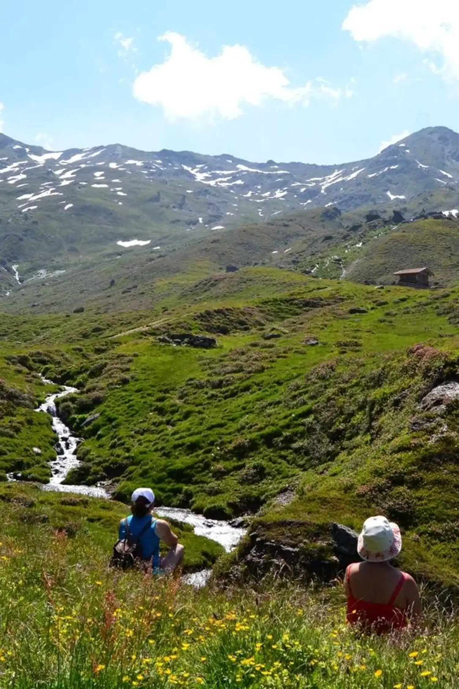 Almenausflug mit Wanderung zur Arztaler Alm in Ellbögen