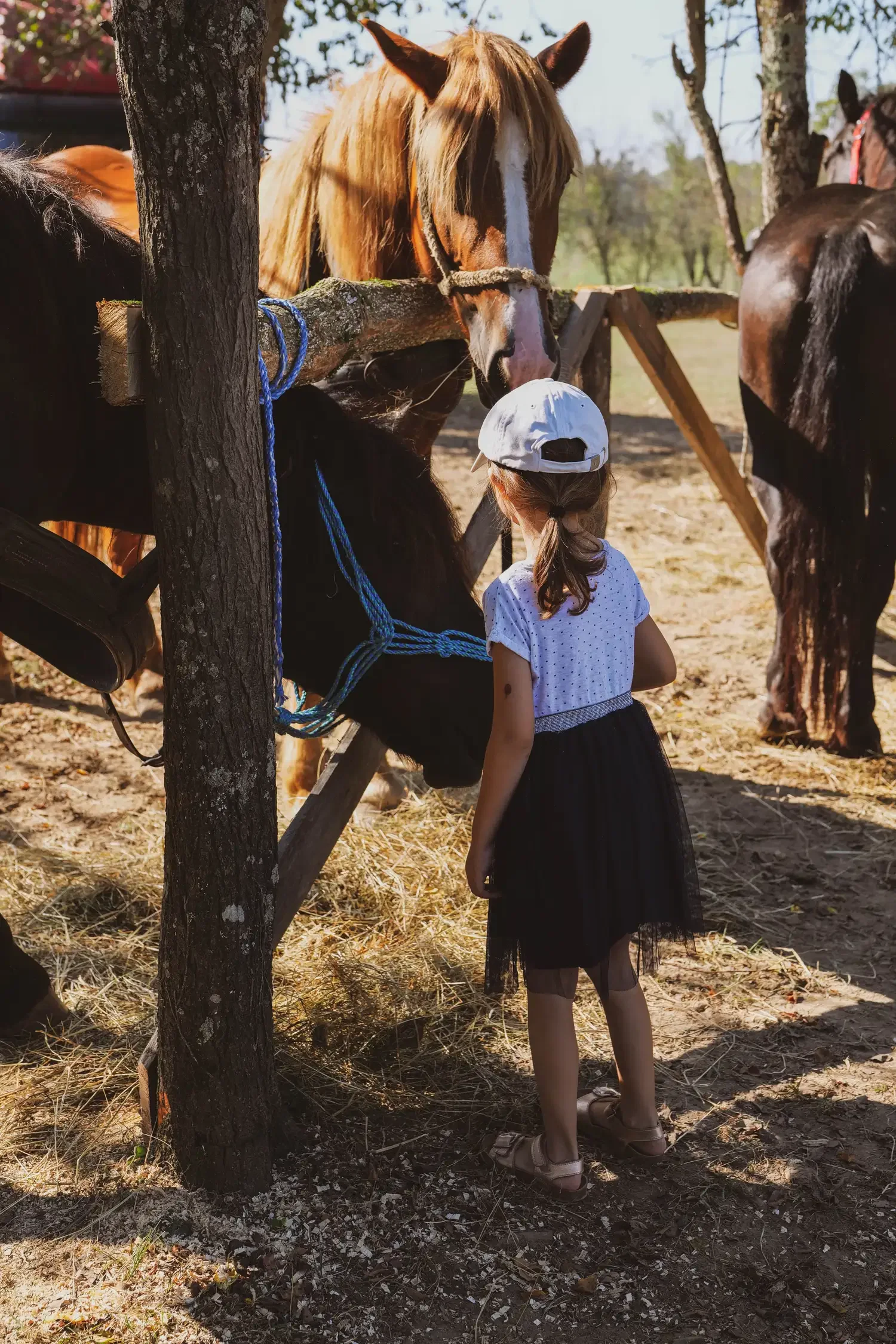 Reiten für Kinder