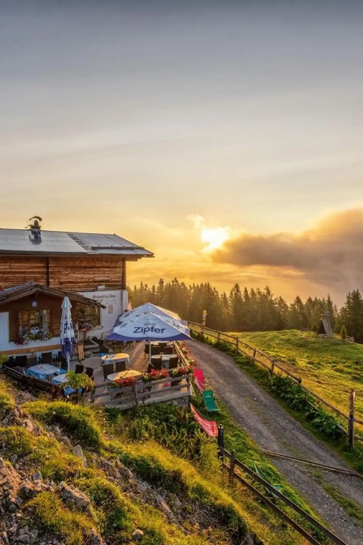 Almentaxi zur Simmeringalm 1.813 m ab Obsteig
