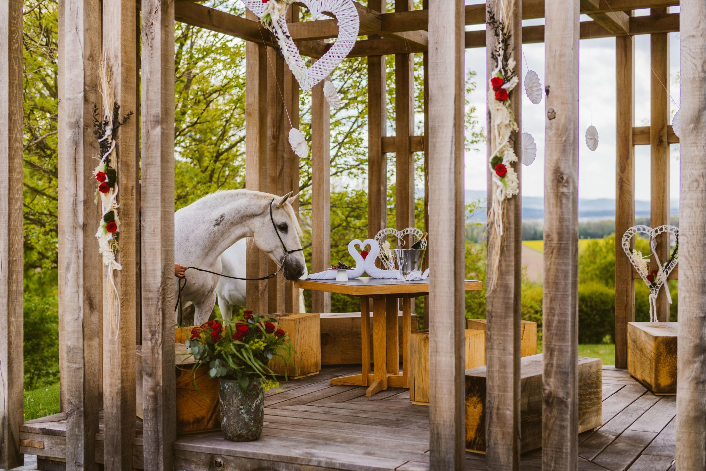 Romantische Momente im Champagner-Haus