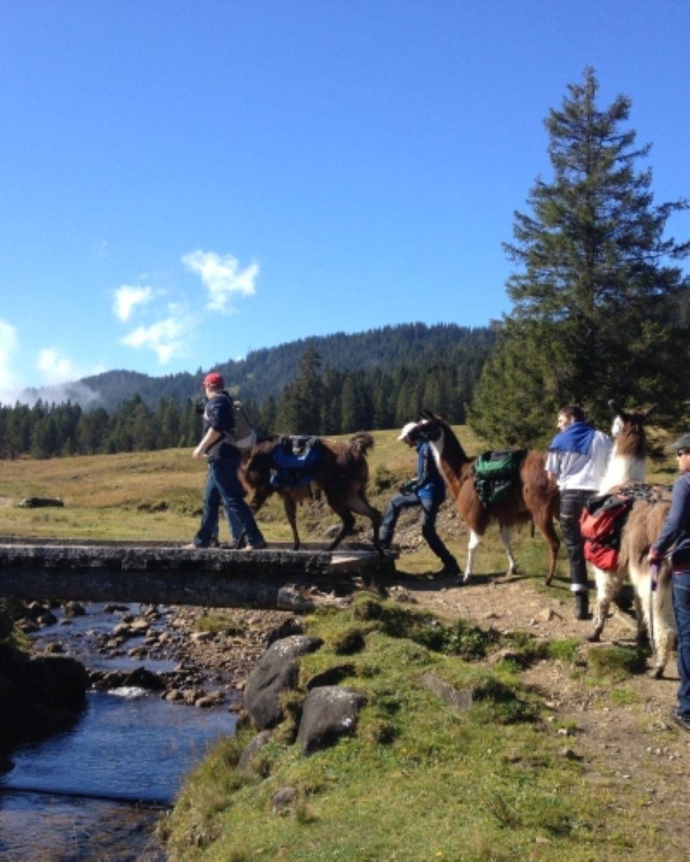 Lama-Trekking mit Marlene, Ernst oder Oliver