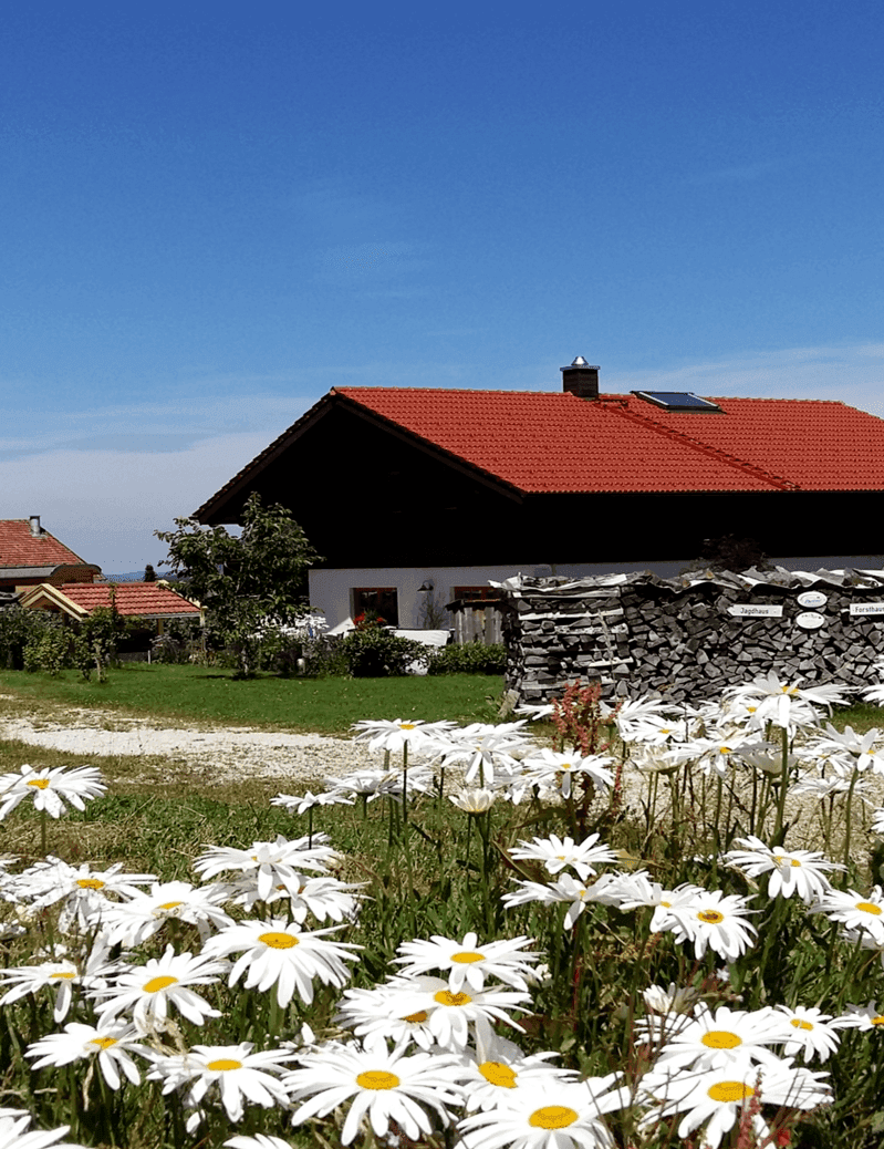 Sag es mit Blumen - aus der Blumenwerkstatt