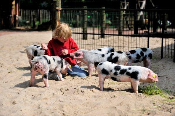 Tierpark Nordhorn