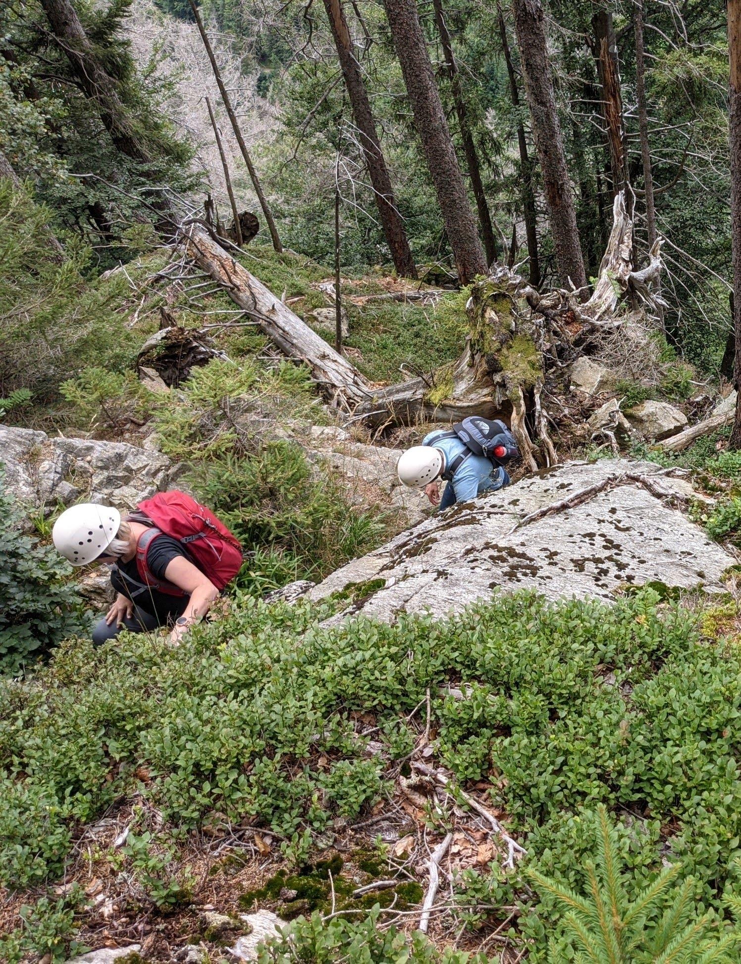 Urwald Kraxel Abenteuer!