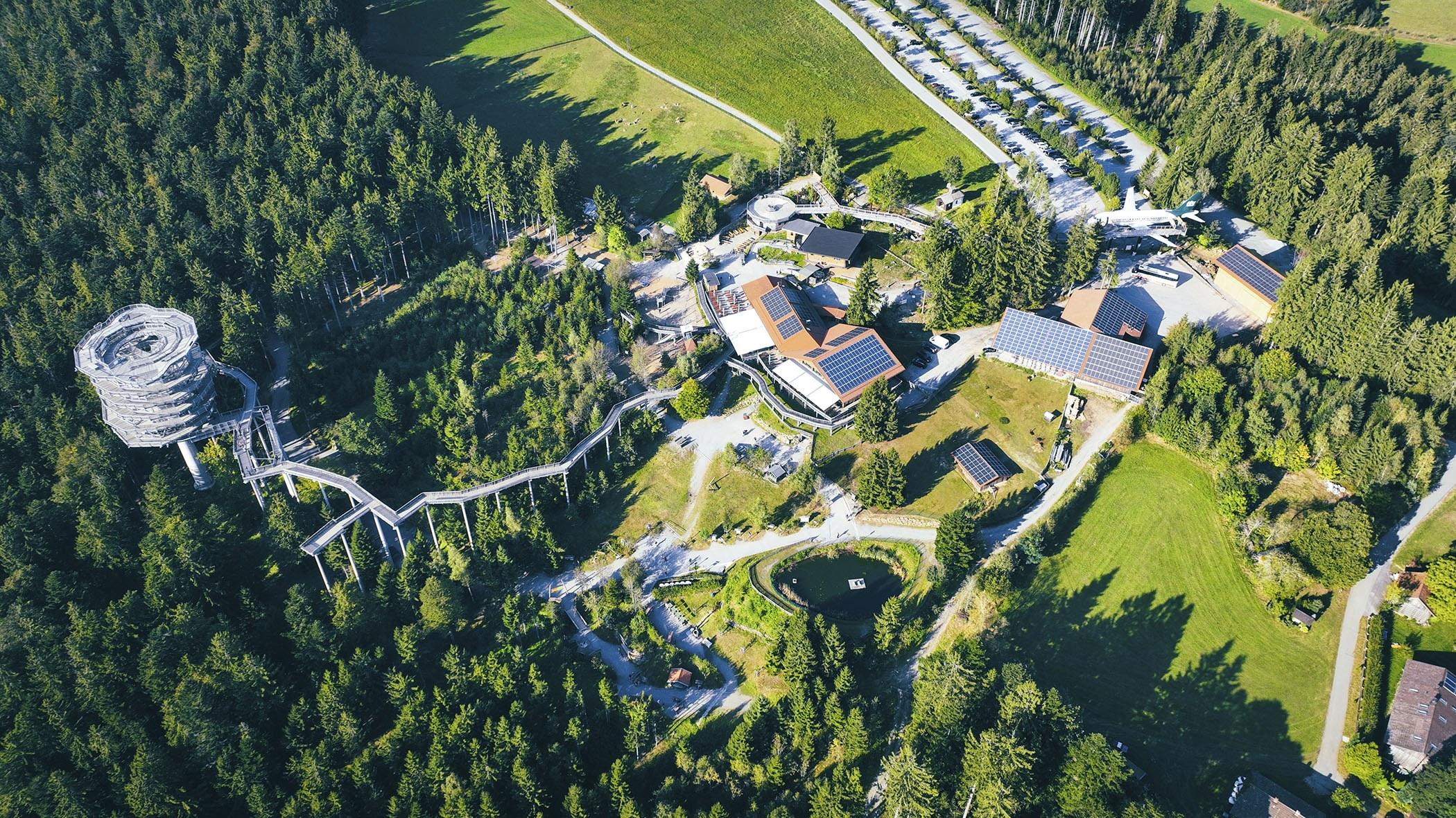 Waldwipfelpfad - Haus auf dem Kopf - Flieger