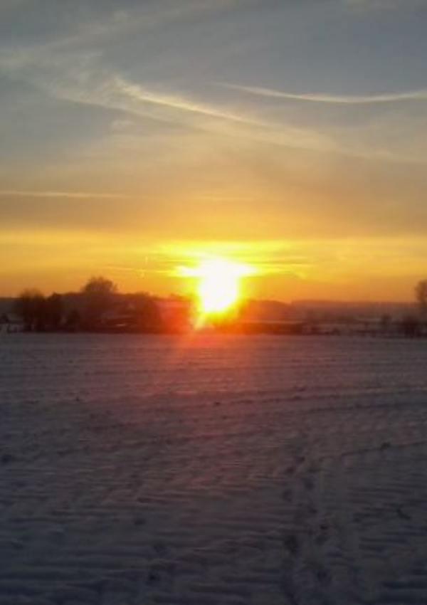 Evening round "Hochwald" - a tip from the senior chef