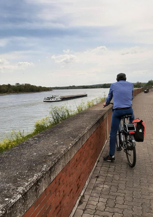 "Fietsen" - Rhine Bike Tour