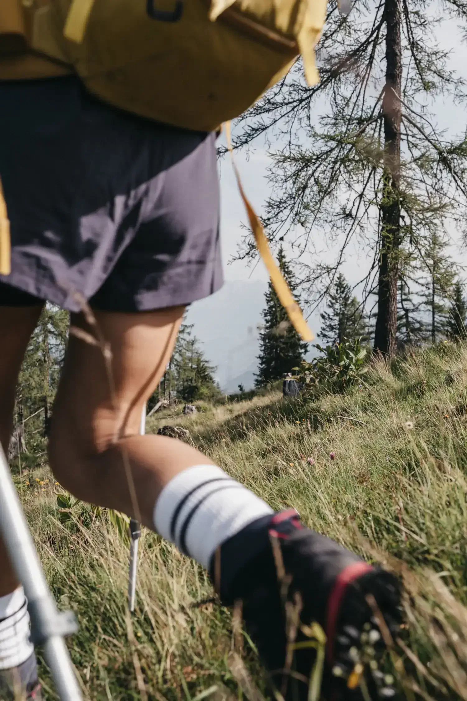 Mountain Adventure: Guided Hike with Marianne