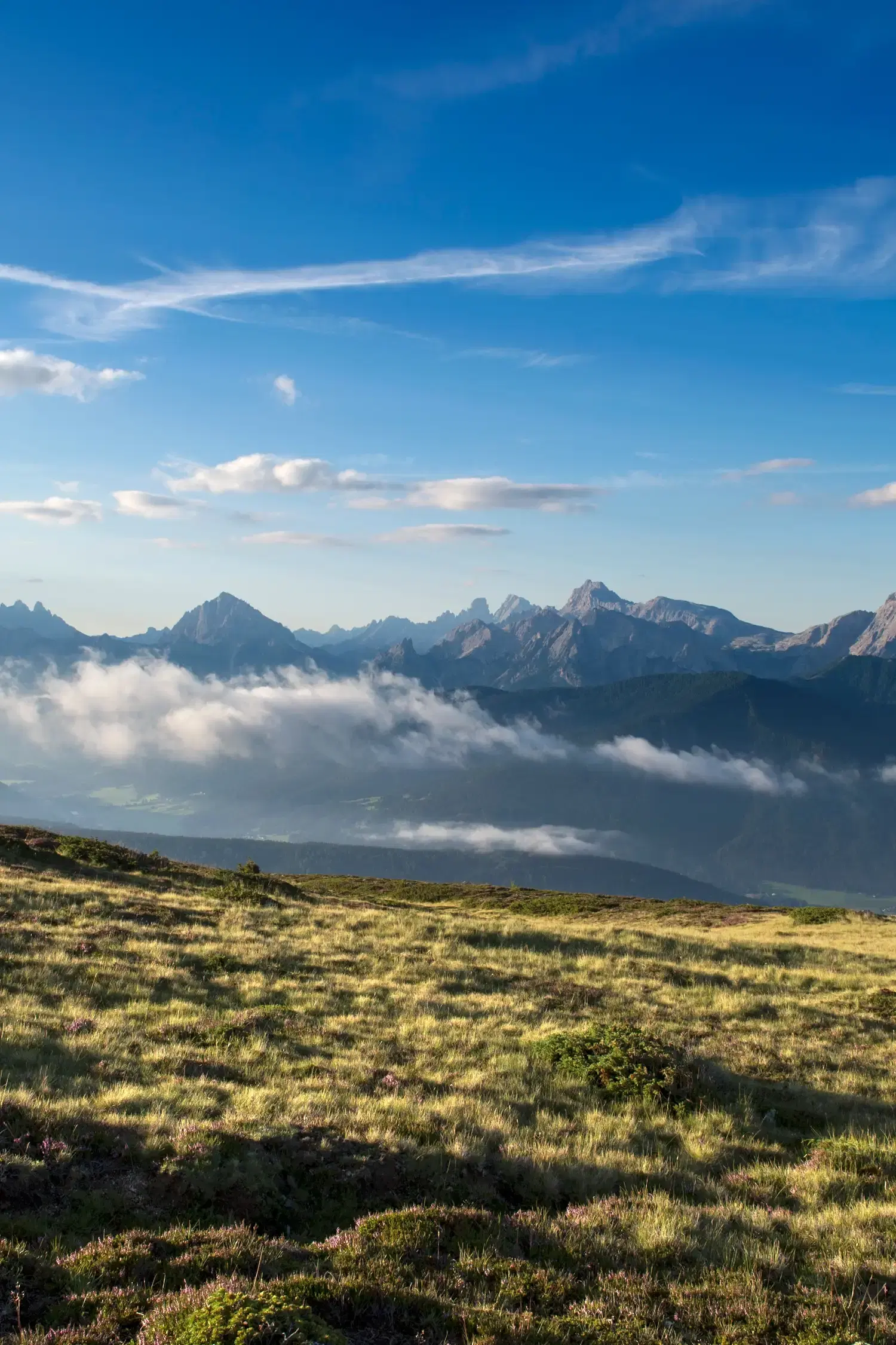 E-bike tour to the Lanzwiesenalm