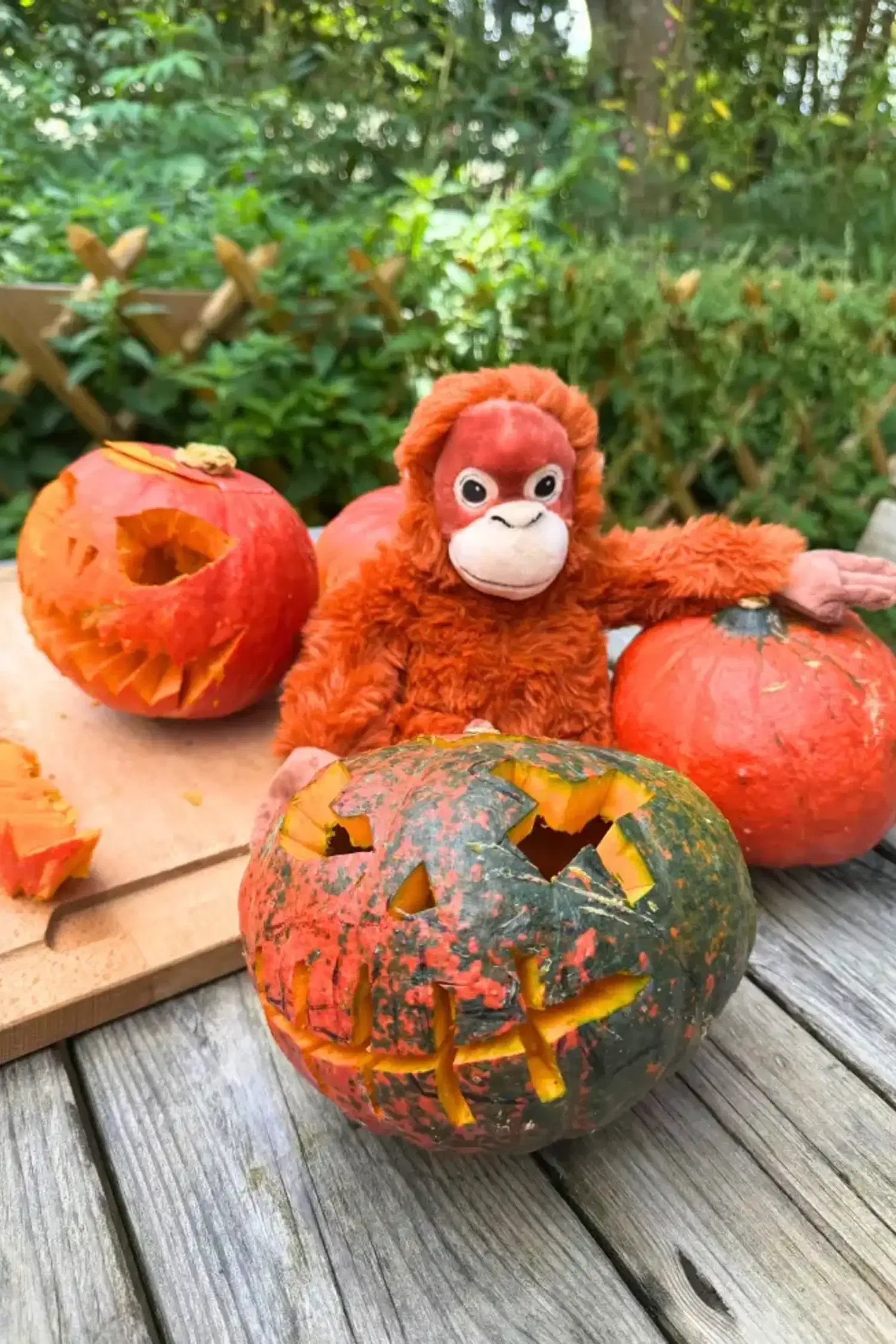 Halloween Special auf der Burgruine Landskron