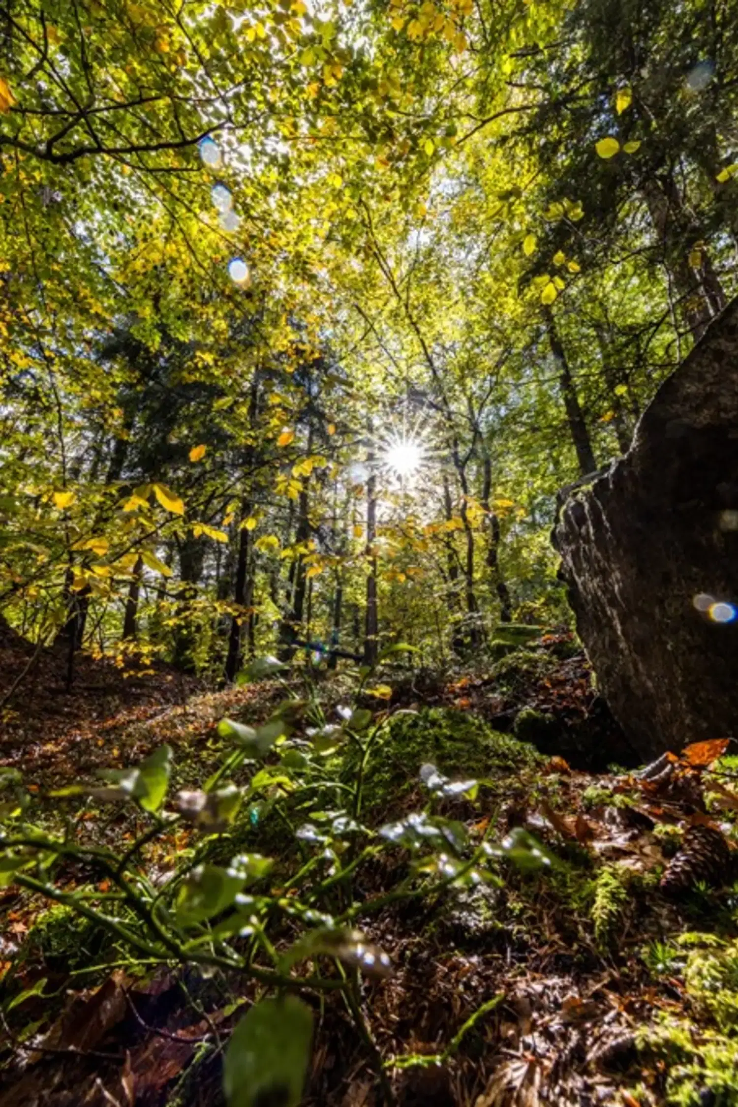 Herbstwanderung Glocke & Wasserfall Leonhard-Stock-Weg mit Nili