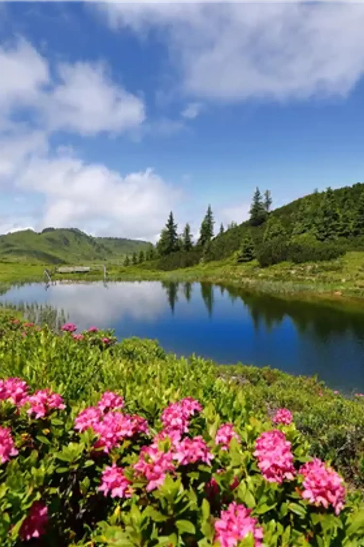 BERG-GESUND High-Altitude Hike to the Trögseen Lakes