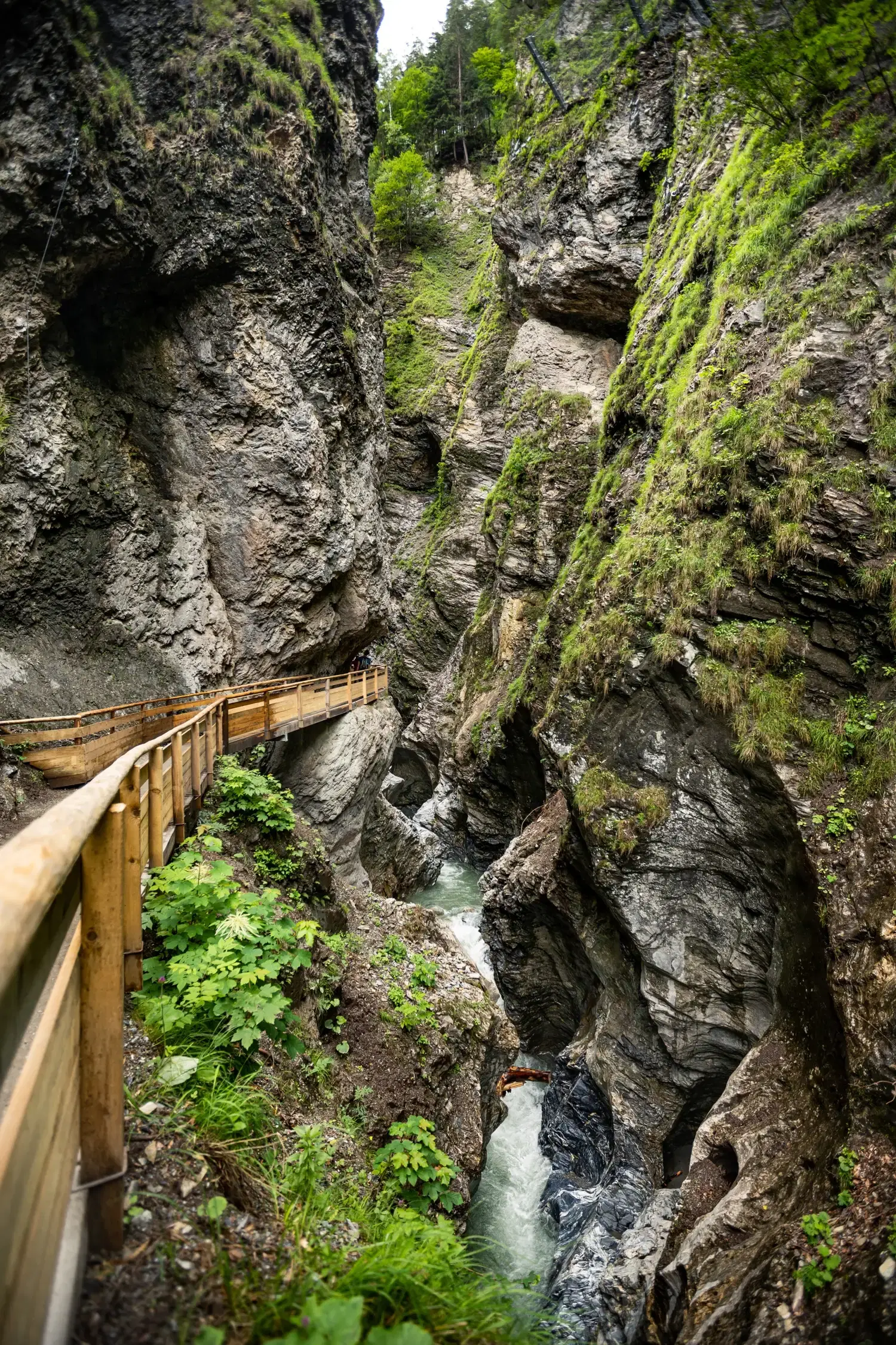 Tour zur Liechtensteinklamm